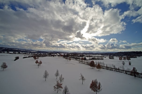 5250 / Woche 50 / Lindau Golfplatz