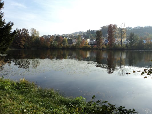 Nr. 265 / 30.10.2011 / Halbinsel Au, Wädenswil, Ausee, Blick Richtung Süden - Ost / 4000 x 3000 / JPG Datei