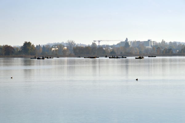 Nr. 240 / 2016 / Pfäffikersee, 4512 x 3008 / JPG-Datei