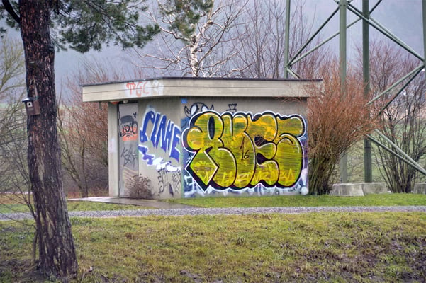 5308 / Woche 8 /  Bild aufgenommen bei Dänikon ZH