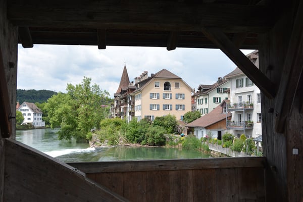 Nr. 124 / 29.05.2014 / Bremgarten /6000 x 4000 / JPG-Datei