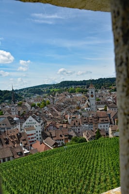 Nr. 2624 / 2014 / Burg, Munot / 6000 x 4000 / JPG-Datei / NEF Datei