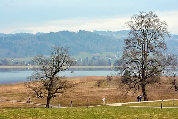 Nr. 5112 / Woche 12 / Pfäffiker-See, Blick von der Holxweid, Richtung Nord-Ost