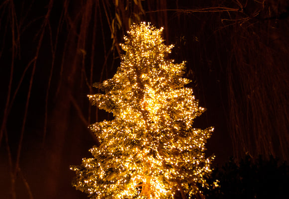 5052 / Zürich Bürkliplatz / 3872 x 2592 / JPG-Datei 