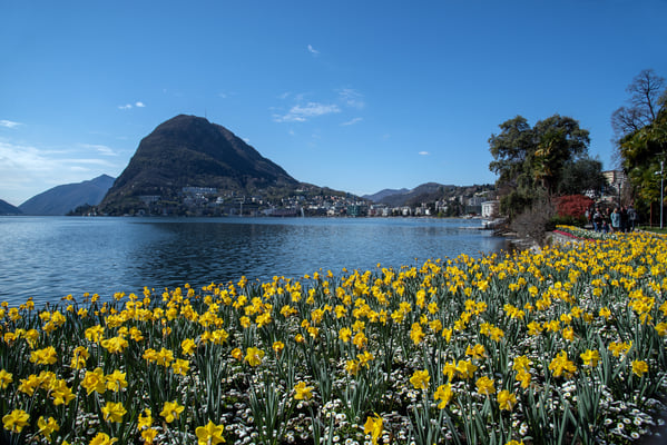 Woche 14, Lugano