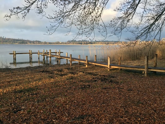 Nr. 254 / 2016 / Pfäffikersee, 4512 x 3008 / JPG-Datei