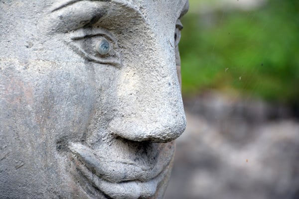 Nr. 1078 / 12.10.14 / Dietikon, Bruno-Weber-Park / 6016 x 4000 / JPG-Datei