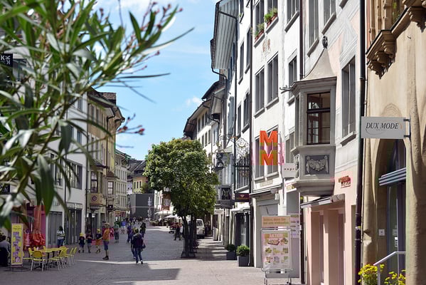 Nr. 302 / August 2014 / Schaffhaussen /6024 x 4008 / JPG/NEF-Datei