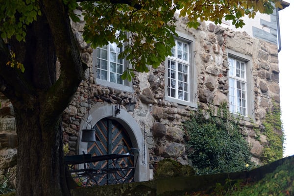 Nr. 2603 / 05.10.2014 / Schloss Wellenberg, Felben Wellhausen / 6000 x 4000 / JPG-Datei