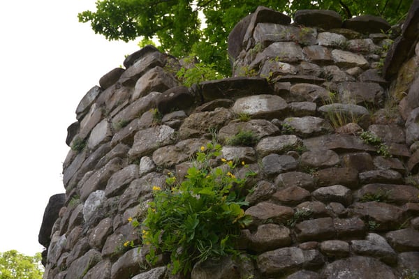 Nr. 2530 / 25.05.2014 / Schloss Rapperswil / 6000 x 4000 / JPG-Datei