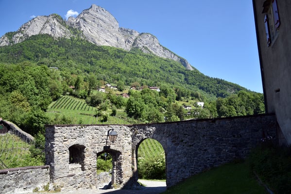 Nr. 2687 / 2017 / Schloss Sargans / 6000 x 4000 / JPG-Datei