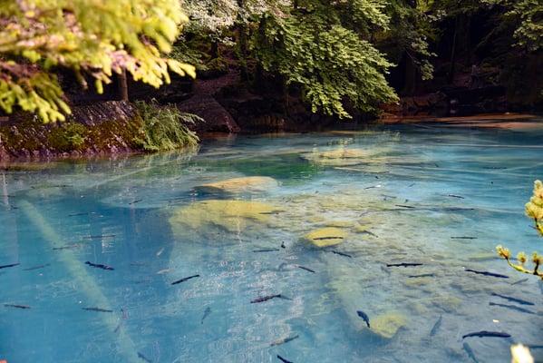 Nr. 322 / 2016 / Blausee / 6016 x 4016 / JPG-Datei