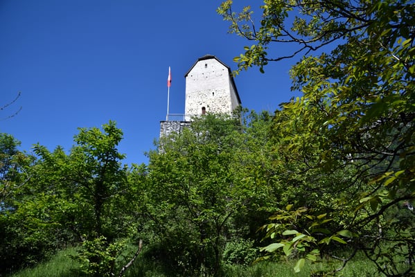 Nr. 2651 / 2017 / Schloss Sargans / 6000 x 4000 / JPG-Datei