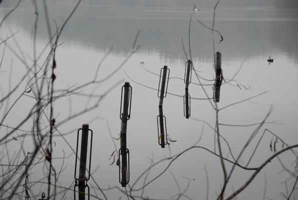 Nr. 244/ 13.11.2011 / Türlersee, Blick Richtung Nord / 3872 x 2592 / JPG Datei