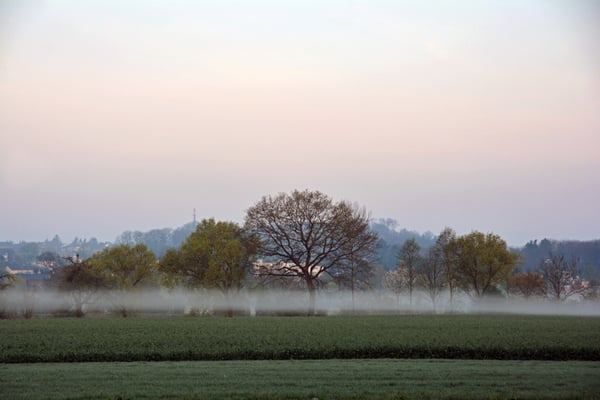 Nr. 5015/ Woche 15 / Oberglatt, Blick Richtung Westen Niederhasli, / 6000 x 4000 / JPG-Datei 