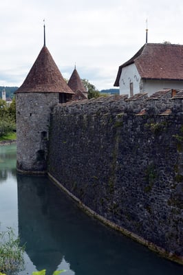 Nr. 2551 / 09.08.2014 / Schloss Hallwyl, Seengen / 6000 x 4000 / JPG-Datei