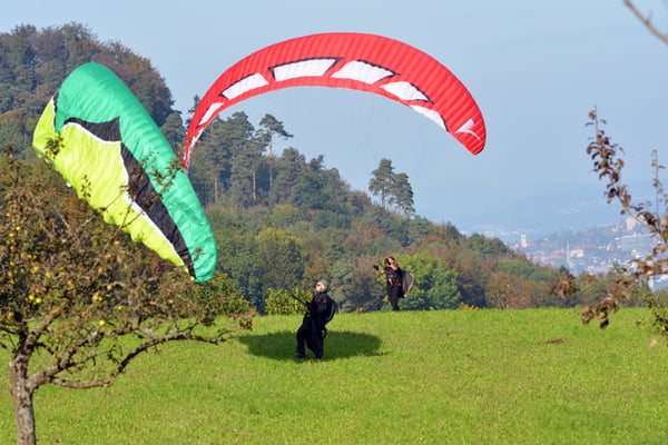 Nr. 2566 / 12.10.2014 / Zürich-Leimbach, Albis / 6000 x 4000 / JPG-Datei