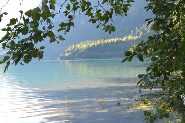 Nr. 218 / 08.09.12 / Klöntalersee, Südufer, Blick Richtung Ost / 6016 x 4000 / JPG-Datei
