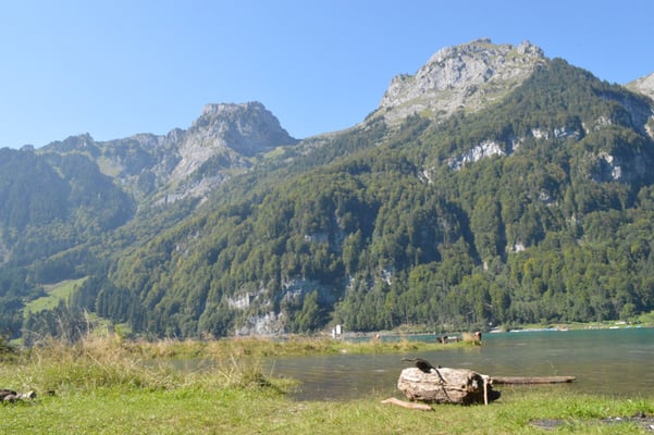 Nr. 222 / 08.09.12 / Klöntalersee, Südufer, Blick Richtung Nord / 6016 x 4000 / JPG-Datei