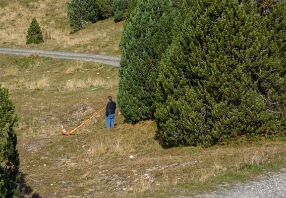 Woche 50 / Alphornbläser