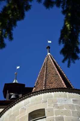 Nr. 321 / 2018 / Zug /6000 x 4000 / JPG-Datei