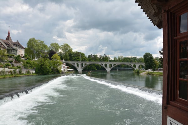 Nr. 122 / 29.05.2014 / Bremgarten /6000 x 4000 / JPG-Datei