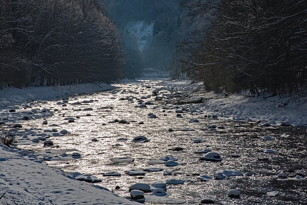 5206 / Woche 6 / Sihl bei Langnau