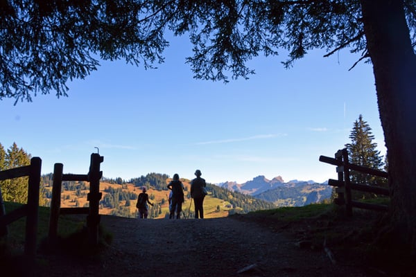 5043 / Woche 43 / Wanderer, Ibergeregg / 6000 x 4000 / JPG-Datei 