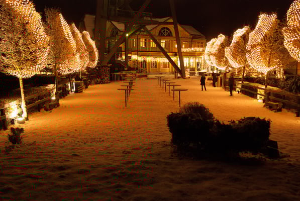 Nr. 5000 / Woche 1 / Zürich Uetliberg / 3872 x 2592 / JPG-Datei / NEF
