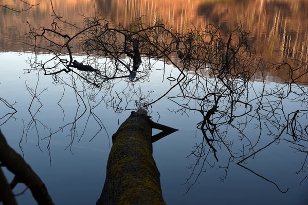 Nr. 260 / 2018 / Türlersee / 6016 x 4000 / JPG Datei
