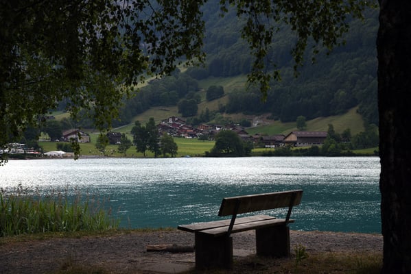 307 / 11.07.2015 / Lungernsee, Blick Richtung West / 6016 x 4016 / JPG-Datei