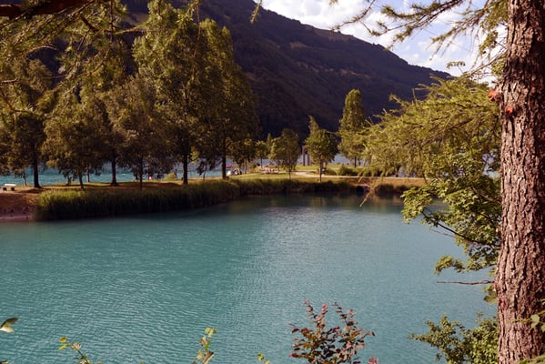 Nr. 305 / 11.07.2015 / Lungernsee, Blick Nord-Osten / 6016 x 4016 / JPG-Datei