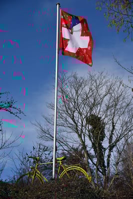 5307 / Woche 7 /  Bild aufgenommen bei Basserdorf