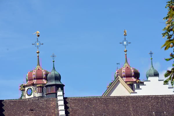 Nr. 3003 / 17.08.2014 / Kloster Rheinau / 6000 x 4000 / JPG-Datei