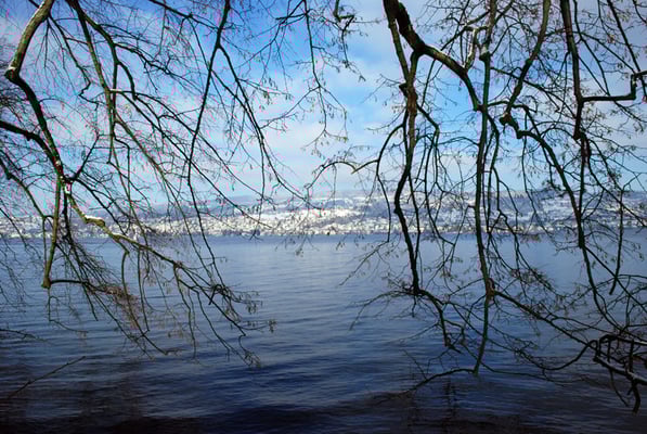 Nr. 309 / 26.12.2010 / Zürichsee, Blick von der Halbinsel Au Richtung Nord / 3872 x 2592 / JPG Datei