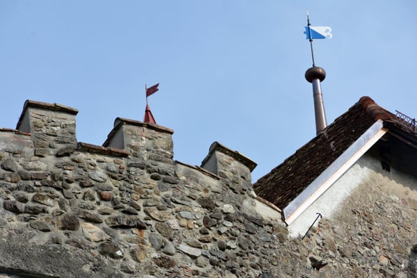 Nr. 2615 / 05.10.2014 / Schloss Wellenberg, Felben Wellhausen / 6000 x 4000 / JPG-Datei