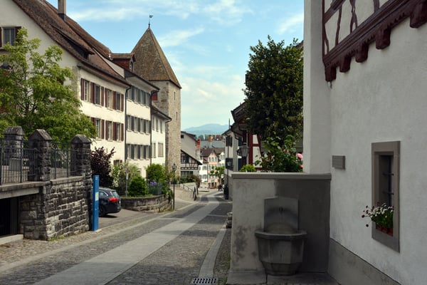 Nr. 155 / 25.05.2014 / Rapperswil /6000 x 4000 / JPG-Datei