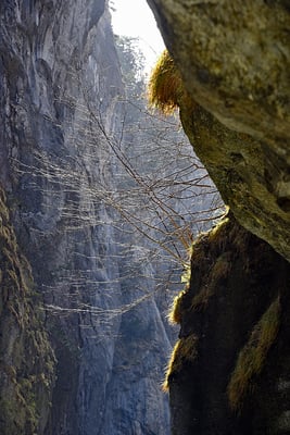 5315 / Woche 15 / Meiringen Aareschlucht