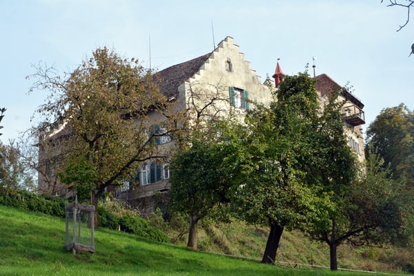 Nr. 2616 / 05.10.2014 / Schloss Wellenberg, Felben Wellhausen / 6000 x 4000 / JPG-Datei
