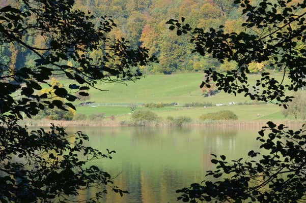 Nr. 245 / 19.10.2013 / Türlersee, Blick Richtung Nord / 6016 x 4000 / JPG Datei