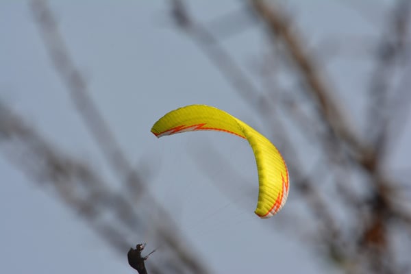 Nr. 2574 / 12.10.2014 / Zürich-Leimbach, Albis / 6000 x 4000 / JPG-Datei
