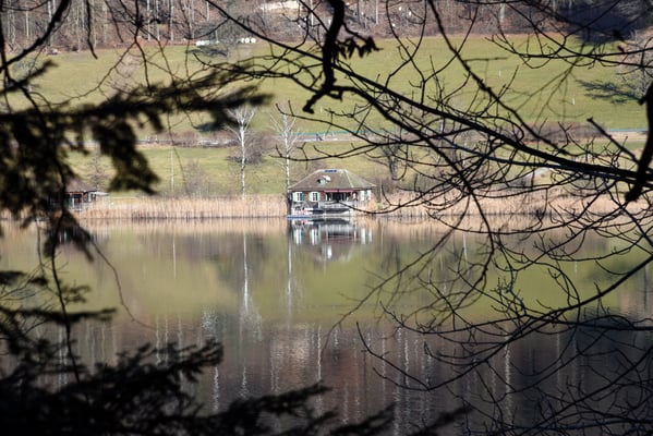 Nr. 266 / 2018 / Türlersee / 6016 x 4000 / JPG Datei