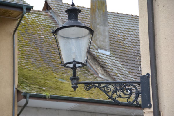 Nr. 133 / 29.05.2014 / Bremgarten /6000 x 4000 / JPG-Datei