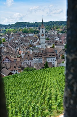 Nr. 2635 / 2014 / Burg, Munot / 6000 x 4000 / JPG-Datei / NEF Datei