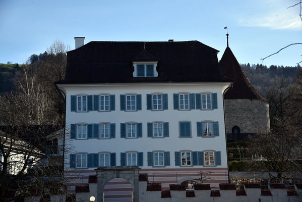 Nr. 327 / 2018 / Zug /6000 x 4000 / JPG-Datei