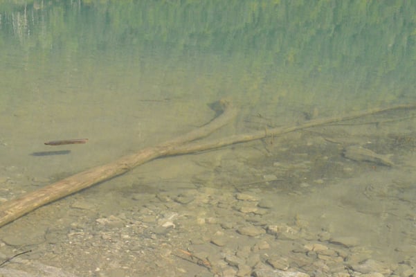 Nr. 216 / 08.09.12 / Klöntalersee, Spiegelung, Blick Richtung West / 6016 x 4000 / JPG-Datei