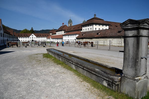 Nr. 3047 / 2016 / Kloster Einsiedeln / 6000 x 4000 / JPG-Datei