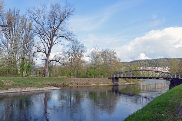 5316 / Woche 16 / Einlauf Reppisch in die Limmat