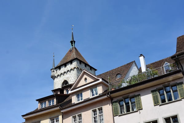 Nr. 316 / August 2014 / Schaffhaussen /6024 x 4008 / JPG/NEF-Datei