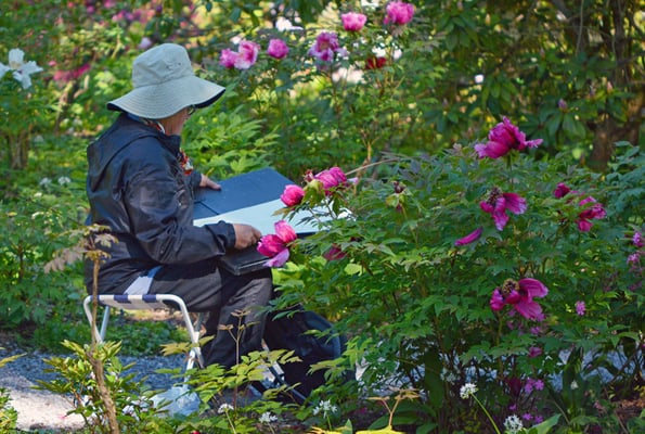 Nr. 5030 / Woche 30 / Rifferswil, Selegermoor / 6000 x 4000 / JPG-Datei 